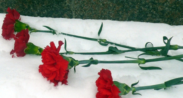 Funeral carnations. Photo: http://www.vstu.ru/news/2015/01/27/aktsiya-gvozdiki-na-snegu.html?clear_theme=1