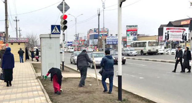 Subbotnik in Grozny. March 13, 2017. Photo: Ibragim Temirkhanov / IA "Grozny-Inform"