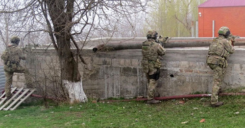 Special operation. Photo: http://nac.gov.ru Special operation. Photo: http://nac.gov.ru