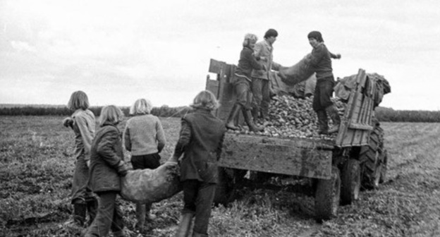 Students help villagers to harvest potatoes, September 1979. Photo: http://ru.wikipedia.org Students help villagers to harvest potatoes, September 1979. Photo: http://ru.wikipedia.org