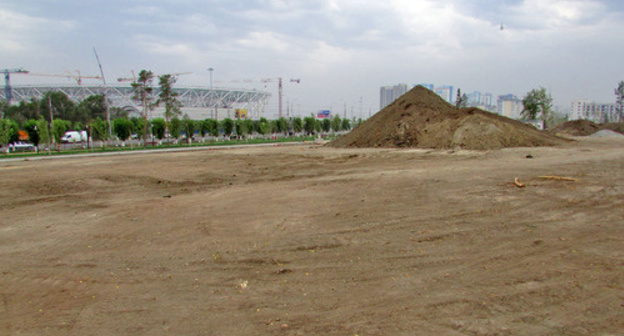 Widows’ Park after tree felling, Volgograd, July 31, 2017. Photo by Vyacheslav Yaschenko for the Caucasian Knot. Widows’ Park after tree felling, Volgograd, July 31, 2017. Photo by Vyacheslav Yaschenko for the Caucasian Knot.