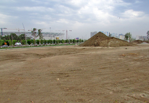 Widows’ Park after tree felling, Volgograd, July 31, 2017. Photo by Vyacheslav Yaschenko for the Caucasian Knot. Widows’ Park after tree felling, Volgograd, July 31, 2017. Photo by Vyacheslav Yaschenko for the Caucasian Knot.
