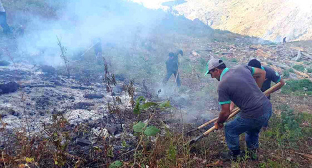 Fire-fighters stop the spread of fire in the National Park of Georgia. Photo https://www.facebook.com/163336040510811/photos/ms.c.eJw9ysEJACAMA8CNpKZNSfZfTCri8~_CEIpG9g1R6aWxHpVRbz~_pr4Ht~_yAed5Az0.bps.a.824552324389176.1073742904.163336040510811/824559861055089/?type=3&theater Fire-fighters stop the spread of fire in the National Park of Georgia. Photo https://www.facebook.com/163336040510811/photos/ms.c.eJw9ysEJACAMA8CNpKZNSfZfTCri8~_CEIpG9g1R6aWxHpVRbz~_pr4Ht~_yAed5Az0.bps.a.824552324389176.1073742904.163336040510811/824559861055089/?type=3&theater