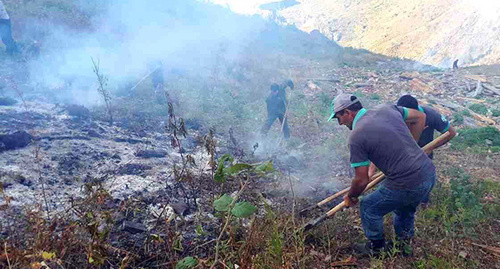 Fire-fighters stop the spread of fire in the National Park of Georgia. Photo https://www.facebook.com/163336040510811/photos/ms.c.eJw9ysEJACAMA8CNpKZNSfZfTCri8~_CEIpG9g1R6aWxHpVRbz~_pr4Ht~_yAed5Az0.bps.a.824552324389176.1073742904.163336040510811/824559861055089/?type=3&theater Fire-fighters stop the spread of fire in the National Park of Georgia. Photo https://www.facebook.com/163336040510811/photos/ms.c.eJw9ysEJACAMA8CNpKZNSfZfTCri8~_CEIpG9g1R6aWxHpVRbz~_pr4Ht~_yAed5Az0.bps.a.824552324389176.1073742904.163336040510811/824559861055089/?type=3&theater