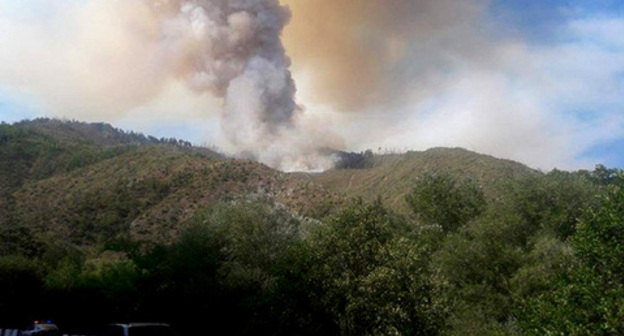 The fire in the Borjomi Gorge. August 2017. Photo http://m.minval.az/news/123714269 The fire in the Borjomi Gorge. August 2017. Photo http://m.minval.az/news/123714269