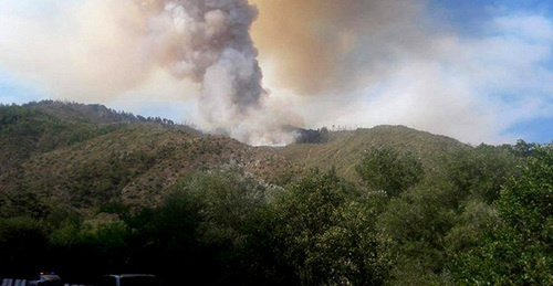 The fire in the Borjomi Gorge. August 2017. Photo http://m.minval.az/news/123714269 The fire in the Borjomi Gorge. August 2017. Photo http://m.minval.az/news/123714269