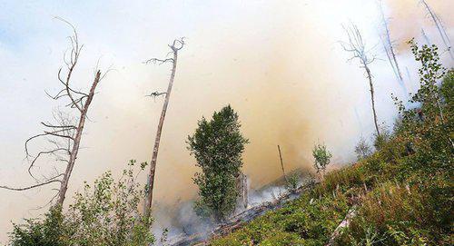 Fire in the territory of Likani park. Photo: https://sputnik-georgia.ru/incidents/20170830/237134448/Pozhar-v-parke-Likani-likvidirovan.html © FB / Giorgi Kvirikashvili Fire in the territory of Likani park. Photo: https://sputnik-georgia.ru/incidents/20170830/237134448/Pozhar-v-parke-Likani-likvidirovan.html © FB / Giorgi Kvirikashvili