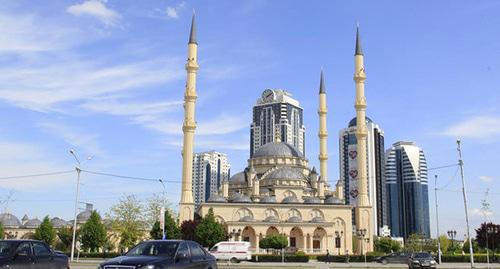 Grozny. Photo by Magomed Magomedov for the "Caucasian Knot" Grozny. Photo by Magomed Magomedov for the "Caucasian Knot"