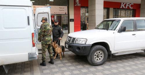 Dog handlers at the Baku railway station, December 21, 2017. Photo by Aziz Karimov for the Caucasian Knot. Dog handlers at the Baku railway station, December 21, 2017. Photo by Aziz Karimov for the Caucasian Knot.