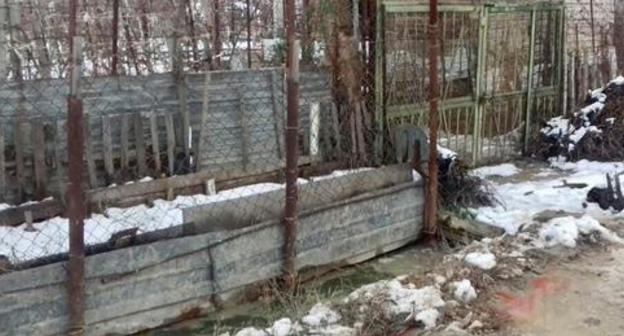 At the place where Alexei Omaev was killed, Kaspiysk, January 15, 2018. Photo by Patimat Makhmudova for the Caucasian Knot. At the place where Alexei Omaev was killed, Kaspiysk, January 15, 2018. Photo by Patimat Makhmudova for the Caucasian Knot.