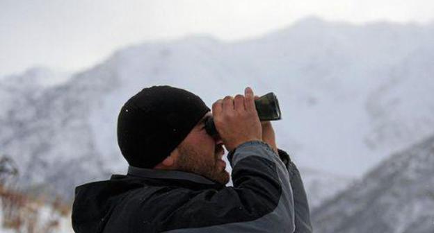 Searches in the mountains. Photo: Vlad Alexandrov, YUGA.ru Searches in the mountains. Photo: Vlad Alexandrov, YUGA.ru