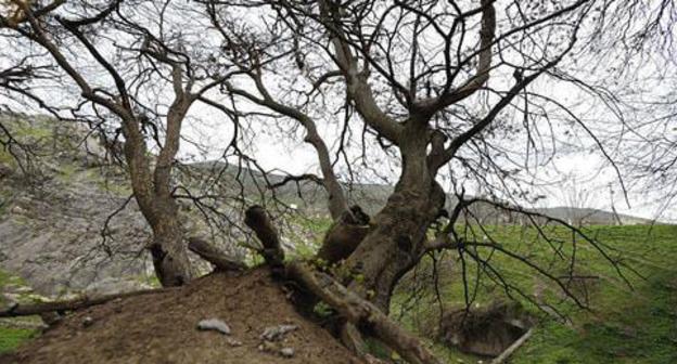 Hadrut. Nagorno-Karabakh. Photo: © Sputnik/ Asatur Yesayants https://ru.armeniasputnik.am/karabah/20170301/6564963/razvedchik-diaspora-sdelala-granitsu-karabakha-silnee-i-sovremennee.html Hadrut. Nagorno-Karabakh. Photo: © Sputnik/ Asatur Yesayants https://ru.armeniasputnik.am/karabah/20170301/6564963/razvedchik-diaspora-sdelala-granitsu-karabakha-silnee-i-sovremennee.html