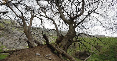 Hadrut. Nagorno-Karabakh. Photo: © Sputnik/ Asatur Yesayants https://ru.armeniasputnik.am/karabah/20170301/6564963/razvedchik-diaspora-sdelala-granitsu-karabakha-silnee-i-sovremennee.html Hadrut. Nagorno-Karabakh. Photo: © Sputnik/ Asatur Yesayants https://ru.armeniasputnik.am/karabah/20170301/6564963/razvedchik-diaspora-sdelala-granitsu-karabakha-silnee-i-sovremennee.html