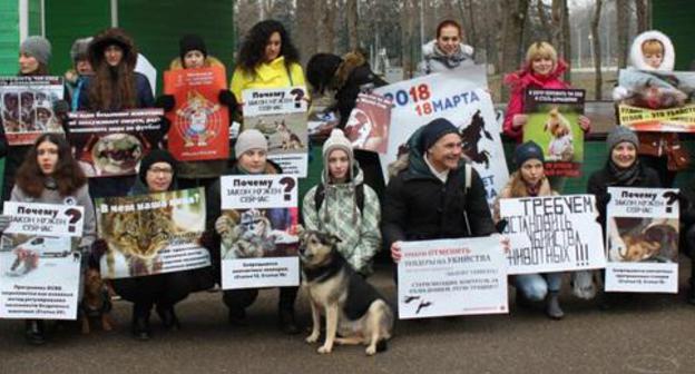 Rally of zoo-defenders in Krasnodar, February 24, 2018. Photo by Inessa Gonchar for the 'Caucasian Knot'. Rally of zoo-defenders in Krasnodar, February 24, 2018. Photo by Inessa Gonchar for the 'Caucasian Knot'.