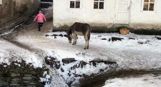 Schoolyard in the village of Khebatli. Photo by Patimat Makhmudova for the Caucasian Knot. Schoolyard in the village of Khebatli. Photo by Patimat Makhmudova for the Caucasian Knot.