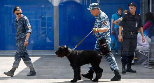 Detector dog handler. Photo by Vlad Alexandrov, Yuga.ru Detector dog handler. Photo by Vlad Alexandrov, Yuga.ru