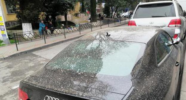 Coloured precipitation fell in the Krasnodar Territory. Sochi, March 23, 2018. Photo by Svetlana Kravchenko for the "Caucasian Knot" Coloured precipitation fell in the Krasnodar Territory. Sochi, March 23, 2018. Photo by Svetlana Kravchenko for the "Caucasian Knot"