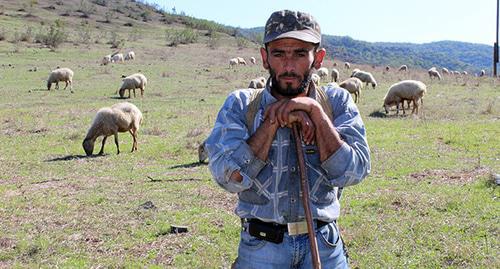 A shephуrd in the village of Mertaket. Photo by Alvard Grigoryan for the "Caucasian Knot" A shephуrd in the village of Mertaket. Photo by Alvard Grigoryan for the "Caucasian Knot"