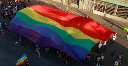 A march with the flag of LGBT. Photo: REUTERS/Jose Luis Gonzalez A march with the flag of LGBT. Photo: REUTERS/Jose Luis Gonzalez