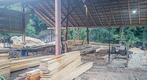 An illegal sawmill. Photo FB / Representatives of Investigation Service of the Ministry of Finance of Georgia An illegal sawmill. Photo FB / Representatives of Investigation Service of the Ministry of Finance of Georgia