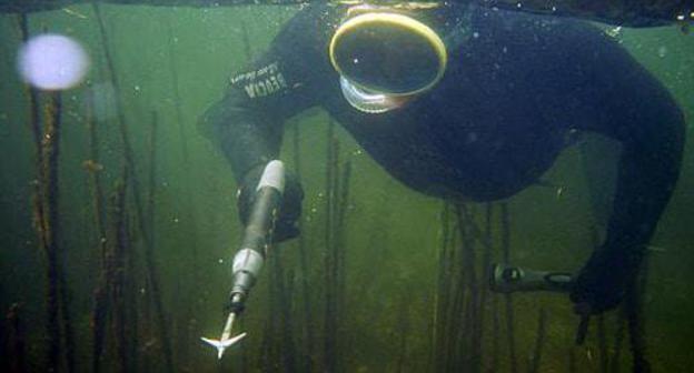 Spearfishing. Photo: Fanas96 - https://lt.wikipedia.org/wiki/Vaizdas:Vitalijus_neria.jpg Spearfishing. Photo: Fanas96 - https://lt.wikipedia.org/wiki/Vaizdas:Vitalijus_neria.jpg