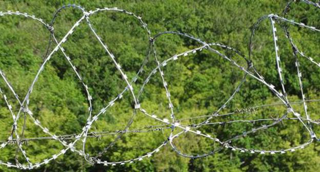 Barbed wire. Photo by Nina Tumanova for the "Caucasian Knot" Barbed wire. Photo by Nina Tumanova for the "Caucasian Knot"