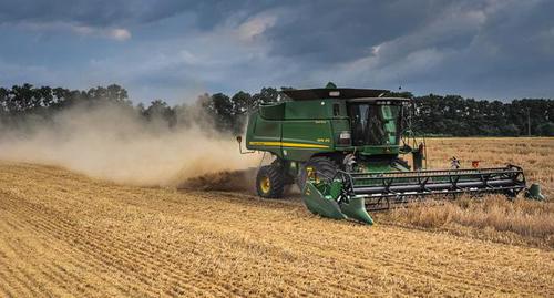 Harvesting. Photo: yuga.ru Harvesting. Photo: yuga.ru