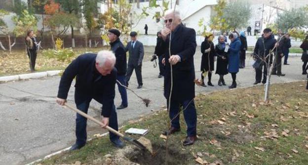 Activists planting trees in the Alley in memory of perished journalists at the Press House in Makhachkala, November 8, 2018. Phot by Rasul Magomedov for the Caucasian Knot Activists planting trees in the Alley in memory of perished journalists at the Press House in Makhachkala, November 8, 2018. Phot by Rasul Magomedov for the Caucasian Knot