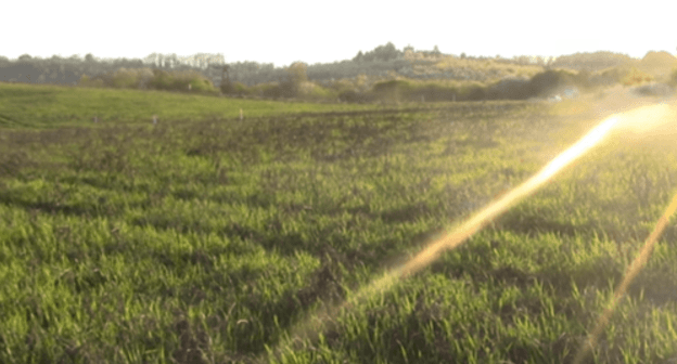 Volny Aul. Land plots granted to the organization "Nalchik for Its Rights" after an auction. Photo: screenshot of the video on the ReaLife Nalchik channel https://www.youtube.com/watch?v=akAqn3L7G_g Volny Aul. Land plots granted to the organization "Nalchik for Its Rights" after an auction. Photo: screenshot of the video on the ReaLife Nalchik channel https://www.youtube.com/watch?v=akAqn3L7G_g