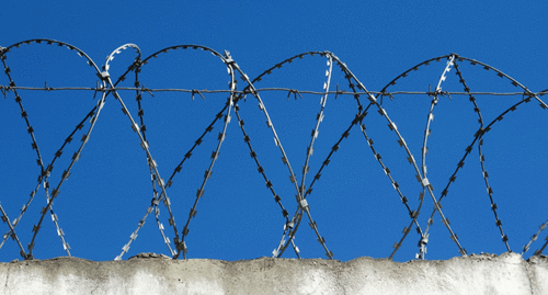 Barbed wire. Photo by Nina Tumanova for the Caucasian Knot Barbed wire. Photo by Nina Tumanova for the Caucasian Knot