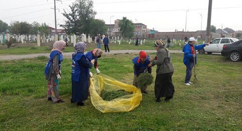 Residents of Argun city at a subbotnik. Photo by the press service of the United Russian Party https://chechen.er.ru/ Residents of Argun city at a subbotnik. Photo by the press service of the United Russian Party https://chechen.er.ru/