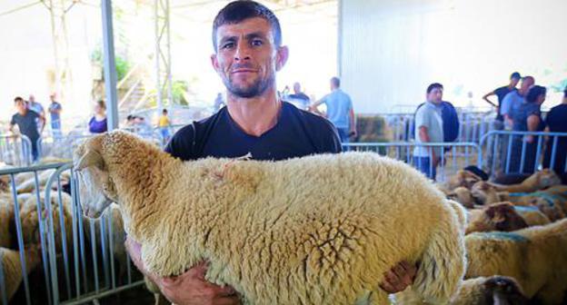 A man holds a sacrificial sheep. Photo by Aziz Karimov for the Caucasian Knot A man holds a sacrificial sheep. Photo by Aziz Karimov for the Caucasian Knot