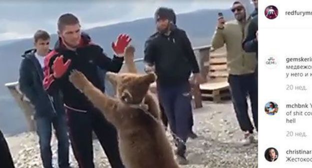 Khabib Nurmagomedov is fighting a bear. Photo: screenshot of the post on Nurmagomedov's account on Instagram Khabib Nurmagomedov is fighting a bear. Photo: screenshot of the post on Nurmagomedov's account on Instagram