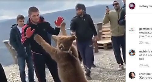 Khabib Nurmagomedov is fighting a bear. Photo: screenshot of the post on Nurmagomedov's account on Instagram Khabib Nurmagomedov is fighting a bear. Photo: screenshot of the post on Nurmagomedov's account on Instagram