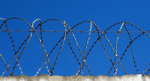 Barbed wire. Photo by Nina Tumanova for the "Caucasian Knot" Barbed wire. Photo by Nina Tumanova for the "Caucasian Knot"