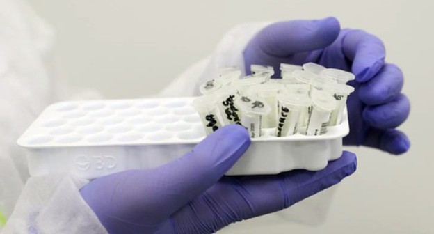 Medical test-tubes. Photo: REUTERS/Evgenia Novozhenina Medical test-tubes. Photo: REUTERS/Evgenia Novozhenina