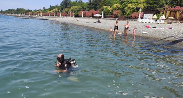 Beach in Abkhazia, July, 2010. Photo: press service of the Ministry for Emergencies of Abkhazia: https://www.mchsra.info/novosti/item/1235-raboty-po-ochistke-stolichnogo-plyazha-prodolzhayutsya Beach in Abkhazia, July, 2010. Photo: press service of the Ministry for Emergencies of Abkhazia: https://www.mchsra.info/novosti/item/1235-raboty-po-ochistke-stolichnogo-plyazha-prodolzhayutsya