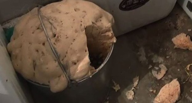 An improvised explosive device found during special operation. Photo: press service of the National Antiterrorism Committee, http://nac.gov.ru/ An improvised explosive device found during special operation. Photo: press service of the National Antiterrorism Committee, http://nac.gov.ru/