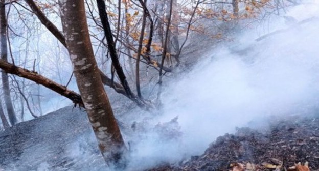 A fire in a forest due to shelling. Photo: https://vesti.az/socium/pozhar-proizoshedshij-v-lesnom-massive-v-rezultate-obstrela-armyanami-gyoranboya-potushen-obnovleno-420717 A fire in a forest due to shelling. Photo: https://vesti.az/socium/pozhar-proizoshedshij-v-lesnom-massive-v-rezultate-obstrela-armyanami-gyoranboya-potushen-obnovleno-420717