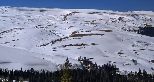 Lago-Naki Plateau. Photo: "Ecological Watch for Northern Caucasus" (EcoWatch), http://www.ewnc.org/node/27357 Lago-Naki Plateau. Photo: "Ecological Watch for Northern Caucasus" (EcoWatch), http://www.ewnc.org/node/27357