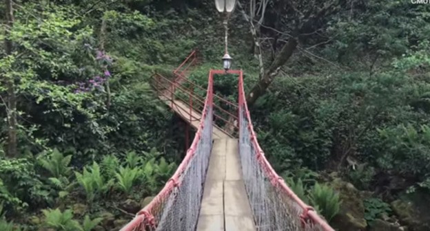 The Mtirala National Park. Screenshot of the video by Oleg Velishko https://www.youtube.com/watch?v=QGUQtkCBZrw&t=184s The Mtirala National Park. Screenshot of the video by Oleg Velishko https://www.youtube.com/watch?v=QGUQtkCBZrw&t=184s