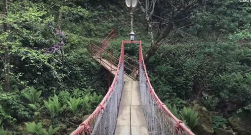 The Mtirala National Park. Screenshot of the video by Oleg Velishko https://www.youtube.com/watch?v=QGUQtkCBZrw&t=184s The Mtirala National Park. Screenshot of the video by Oleg Velishko https://www.youtube.com/watch?v=QGUQtkCBZrw&t=184s