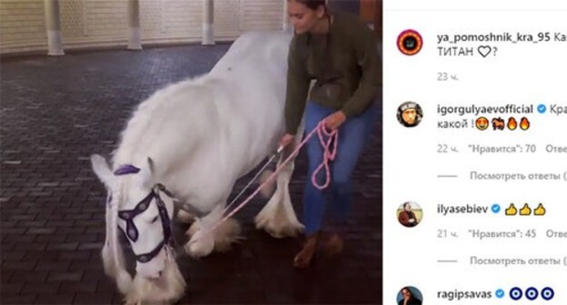 A tinker stallion. Screenshot of the video https://www.instagram.com/p/CUKtCLYD_Od/ A tinker stallion. Screenshot of the video https://www.instagram.com/p/CUKtCLYD_Od/