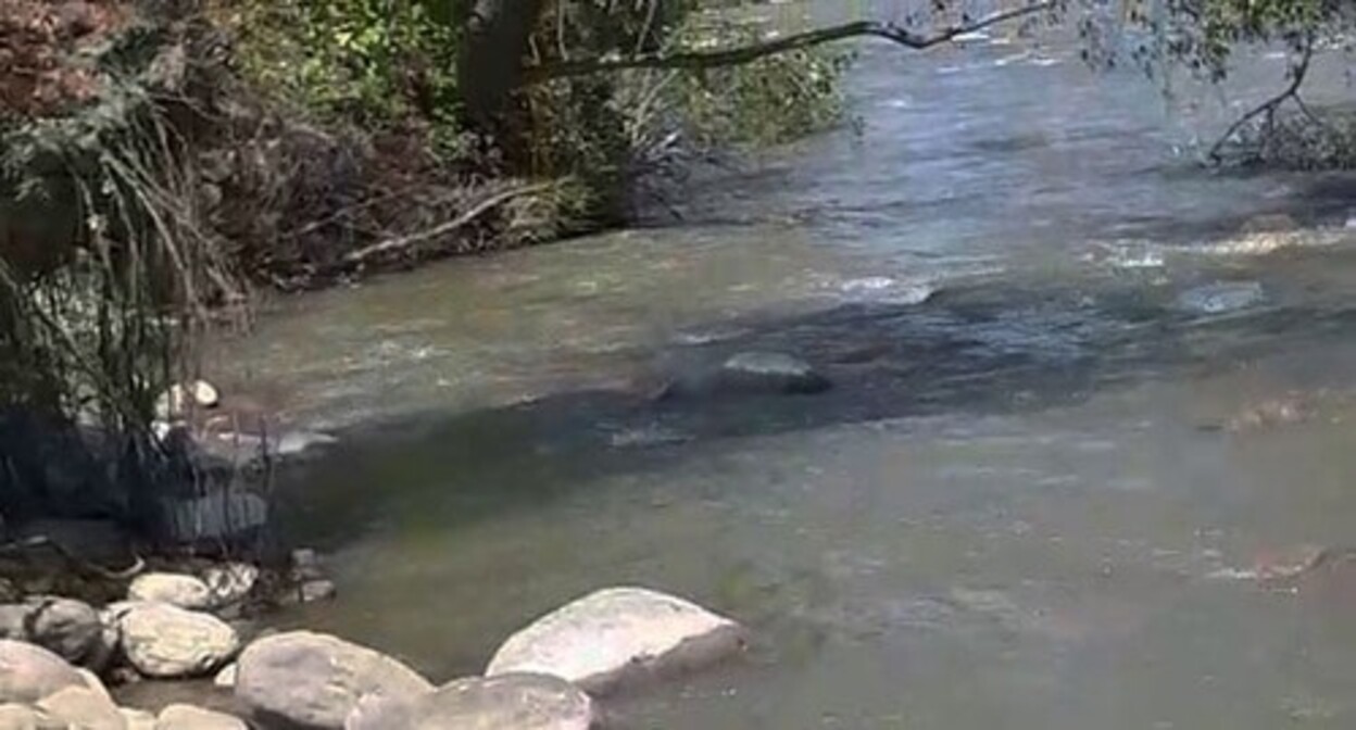 The Fortanga River. Screenshot of the video https://www.youtube.com/watch?v=VnUK0MnjNkA The Fortanga River. Screenshot of the video https://www.youtube.com/watch?v=VnUK0MnjNkA