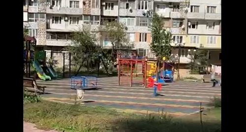 A children's playground in the yard of an apartment block in Peter I Avenue in Makhachkala where the developer is planning to build a multi-storey building. Screenshot of a video posted on Telegram A children's playground in the yard of an apartment block in Peter I Avenue in Makhachkala where the developer is planning to build a multi-storey building. Screenshot of a video posted on Telegram