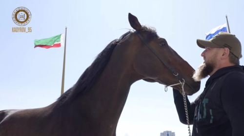Ramzan Kadyrov with his stallion Zazu. Screenshot Kadyrov_95 / Telegram Ramzan Kadyrov with his stallion Zazu. Screenshot Kadyrov_95 / Telegram