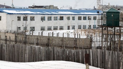 A colony in Karelia, photo: krasivoe-foto.ru A colony in Karelia, photo: krasivoe-foto.ru