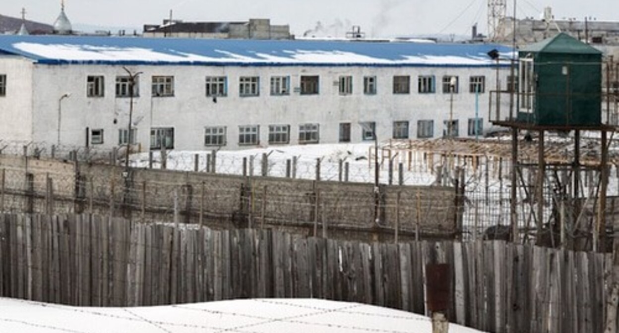 A colony in Karelia, photo: krasivoe-foto.ru A colony in Karelia, photo: krasivoe-foto.ru