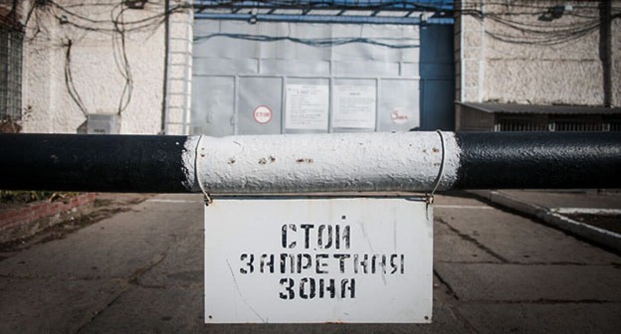 A colony. Photo: Yelena Sineok, Yuga.ru A colony. Photo: Yelena Sineok, Yuga.ru