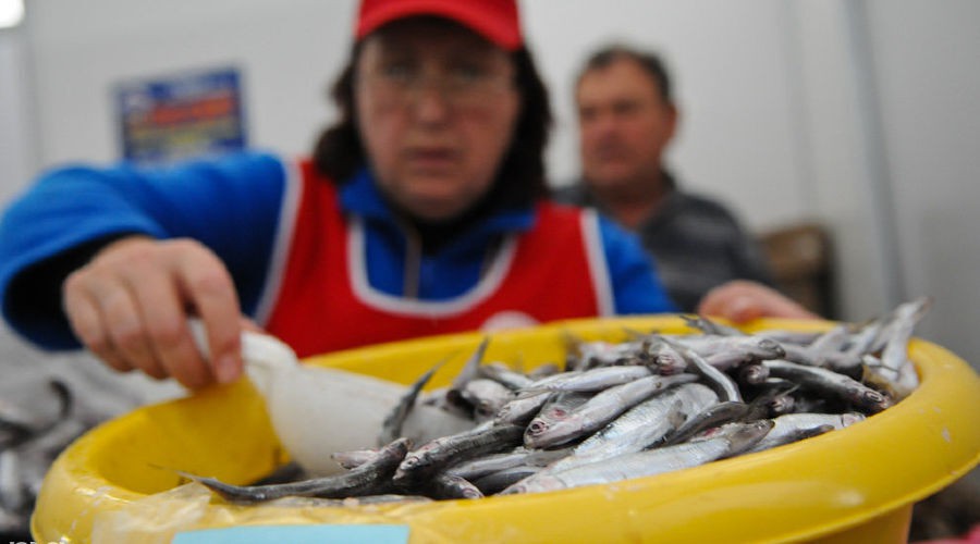 Sale of Black Sea fish: photo by Elena Sineok, the "Yuga.ru" outlet